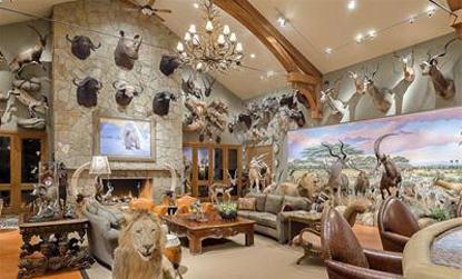 //texas house stuffed animals