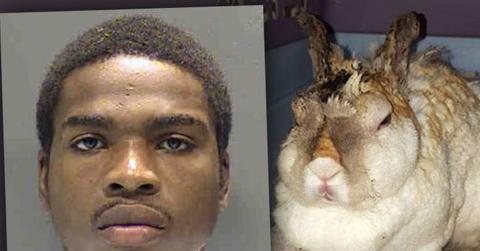 Manasseh Walker Arrested For Setting Pet Bunny On Fire