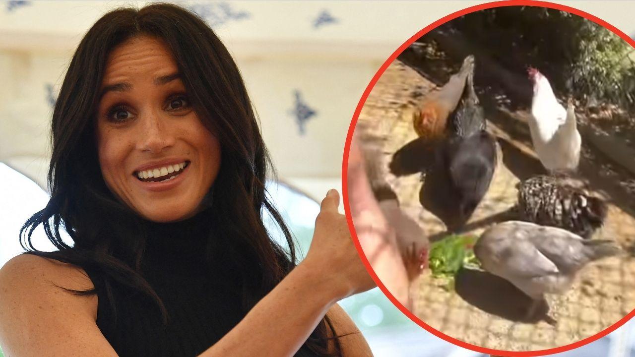 Photo of Meghan Markle and her rescue chickens