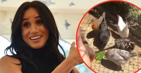 Photo of Meghan Markle and her rescue chickens