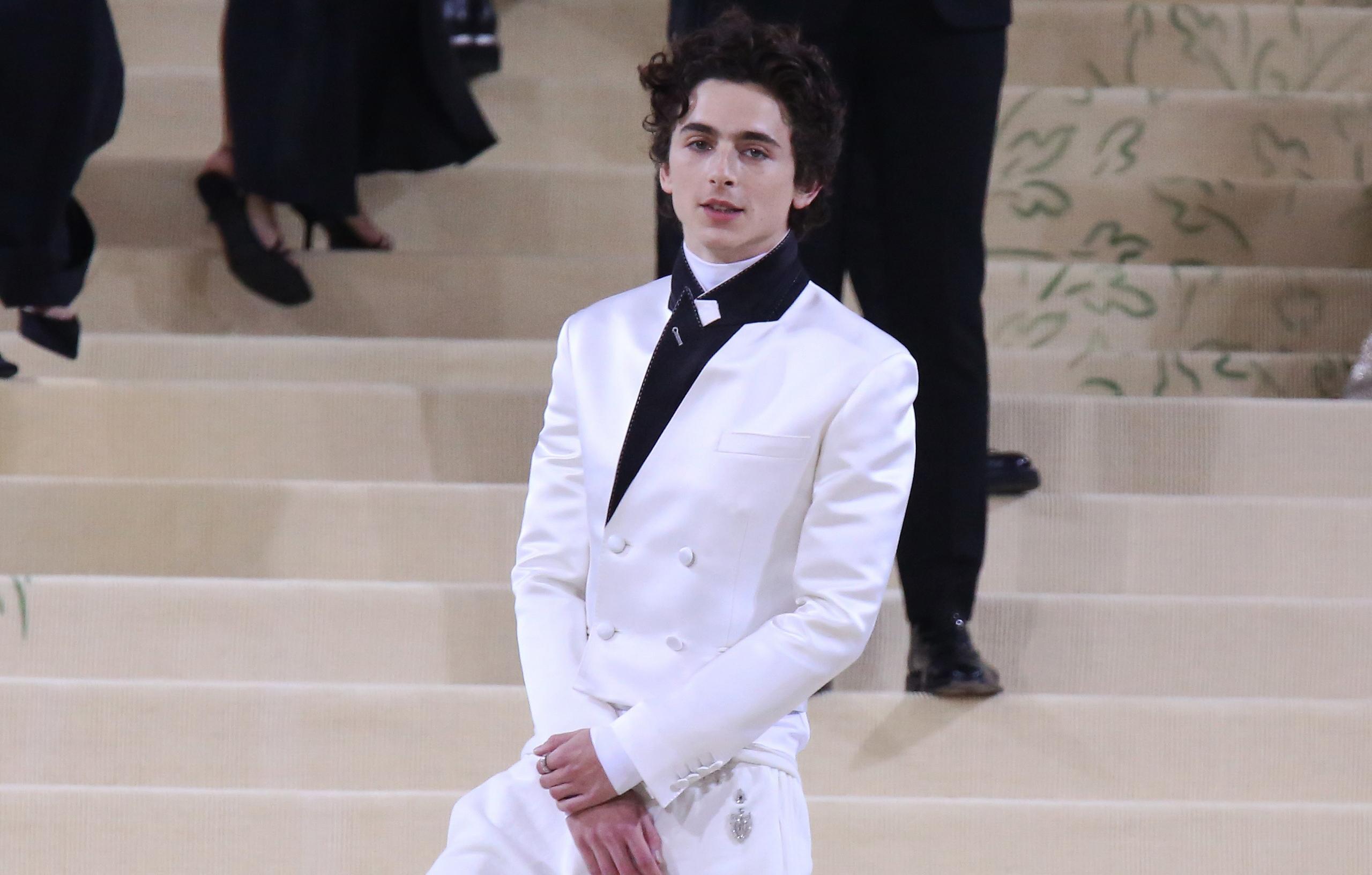 timothee chalamet refuses comment answer questions armie hammer rape allegations