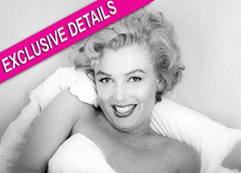 //pp_monroeaffairexcldetails