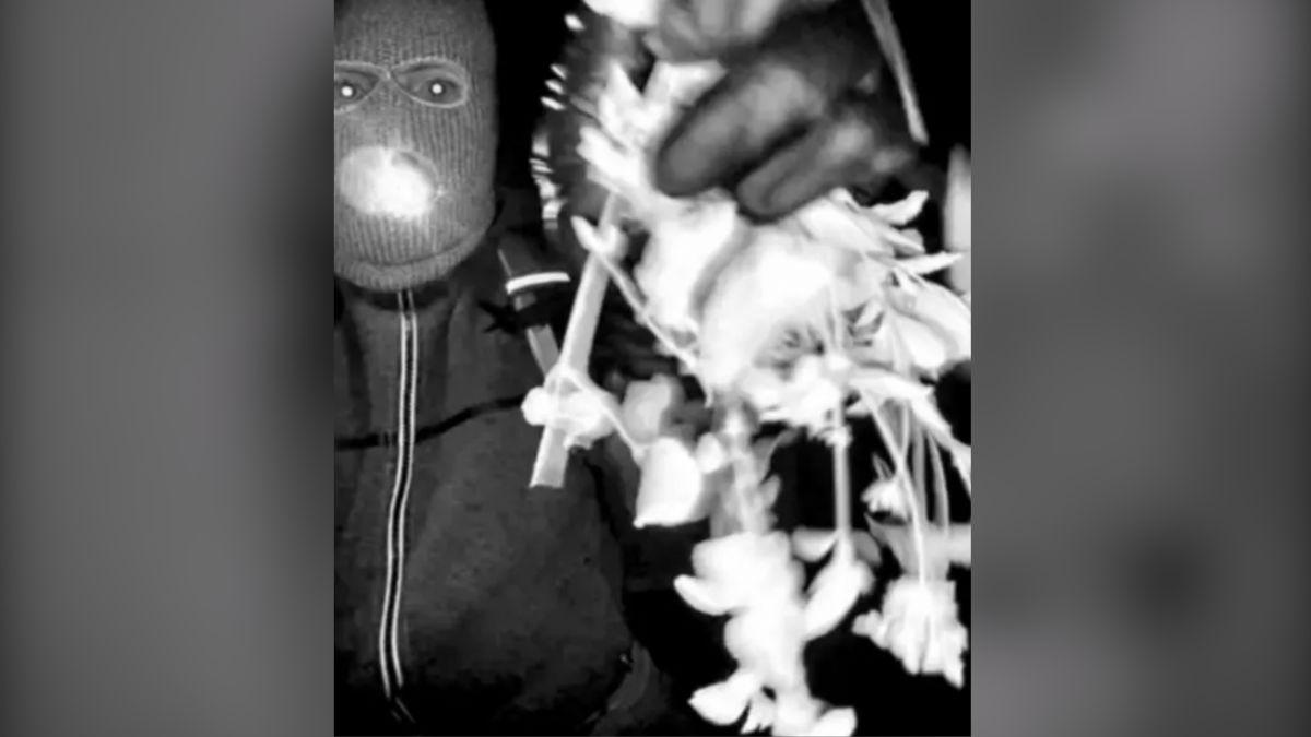 Photo of Nancy Guthrie suspect