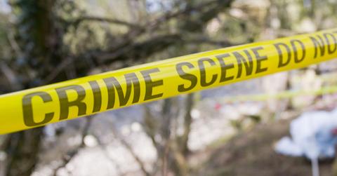 Teenager Strangles Property Developer Father With Dog Leash