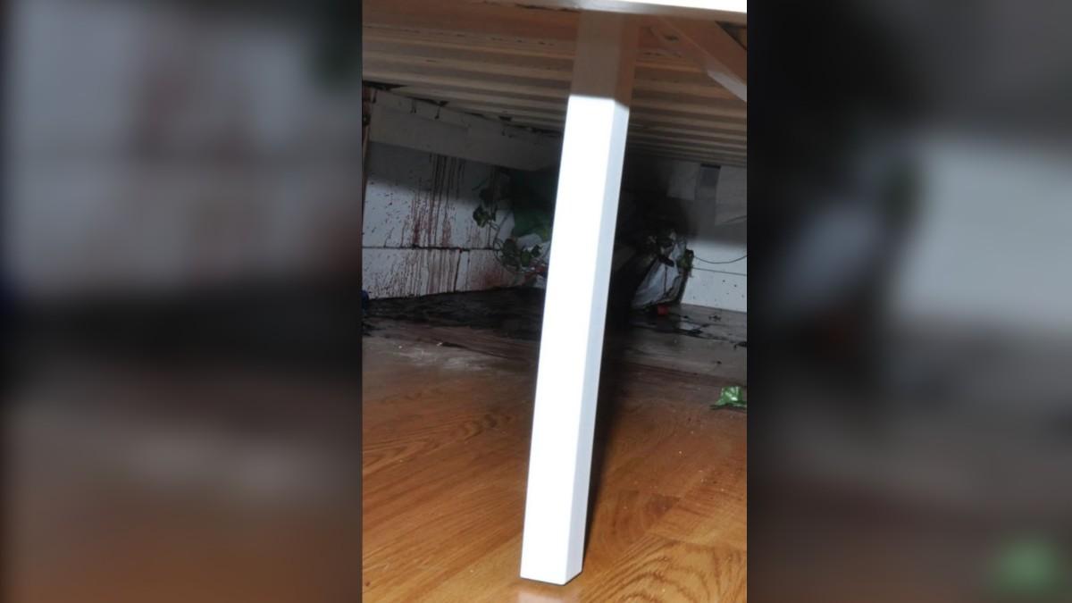 photo from Idaho college house murders.