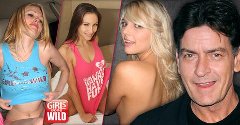 //charlies angels wide