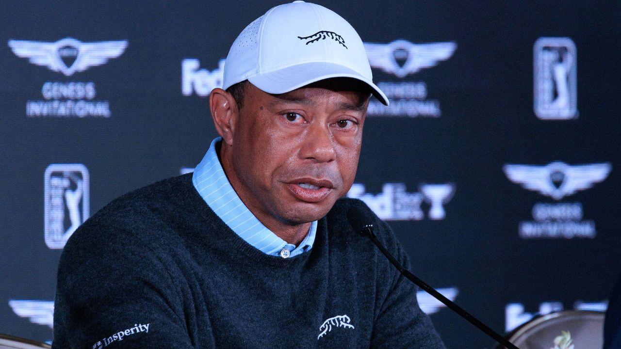 picture of Tiger Woods