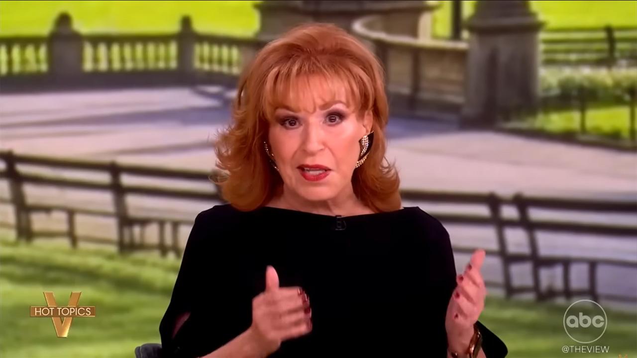 Joy Behar compared political issues to 'explosive diarrhea.'