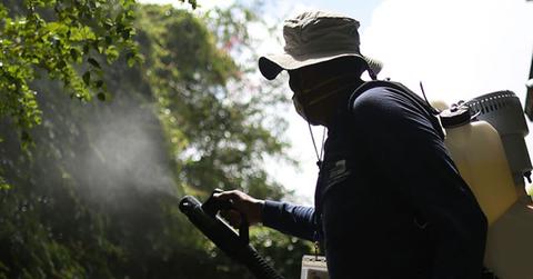 //zika virus outbreak florida miami travel warning pp