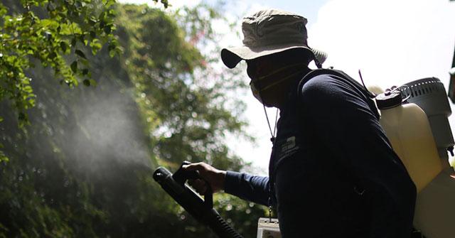CDC Issues Domestic Travel Warning Over Rapid Zika Outbreak — 14 Infected!