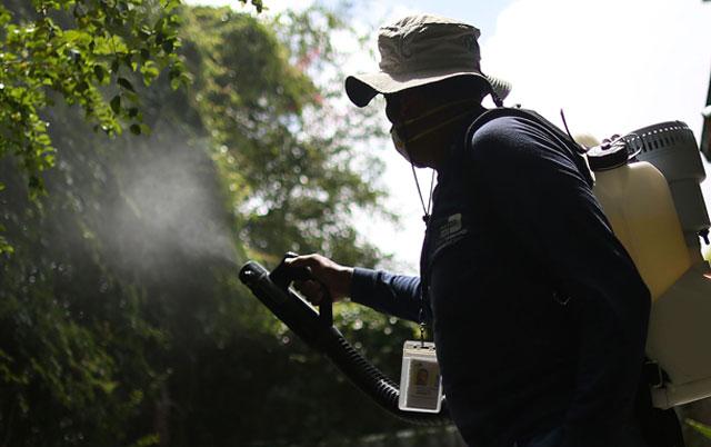CDC Issues Domestic Travel Warning Over Rapid Zika Outbreak — 14 Infected!