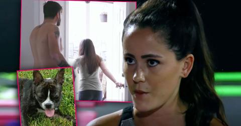 mtv firing teen mom 2 jenelle evans after husband david eason killed dog