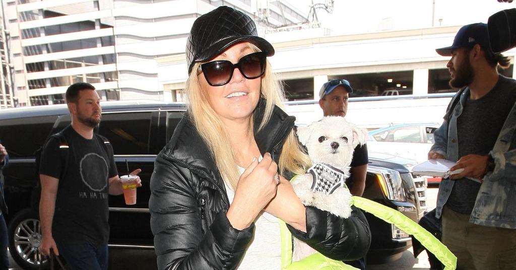 Haley Locklear Heather Locklear Legt Bizarren Auftritt Hin – PEMPAW