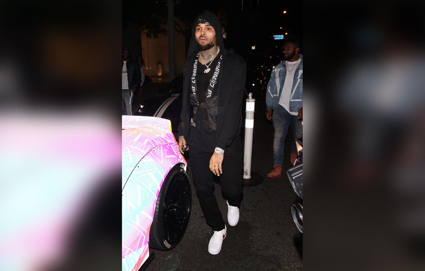 Chris Brown Seen With Mystery Woman While Expecting Child