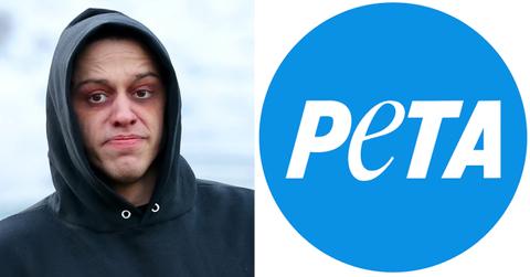 pete davidson peta voicemail buying new dog