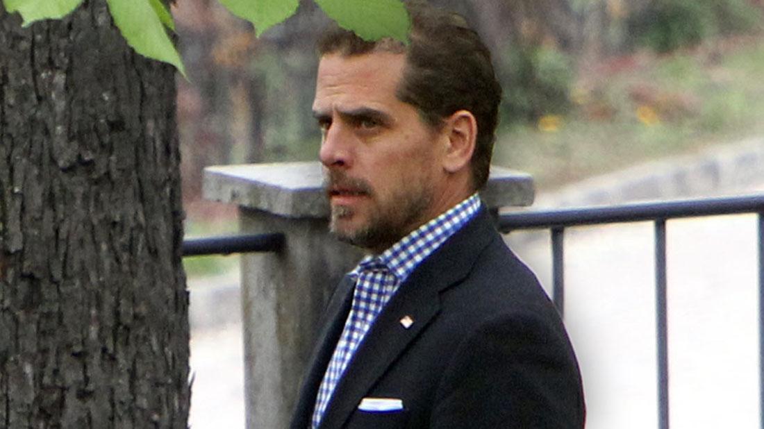 Robert Hunter Biden Wearing Blue and White Checkered Shirt Dark Blazer