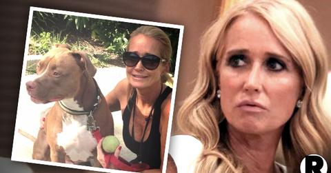 Kim Richards Dog Bite Victim Appealing