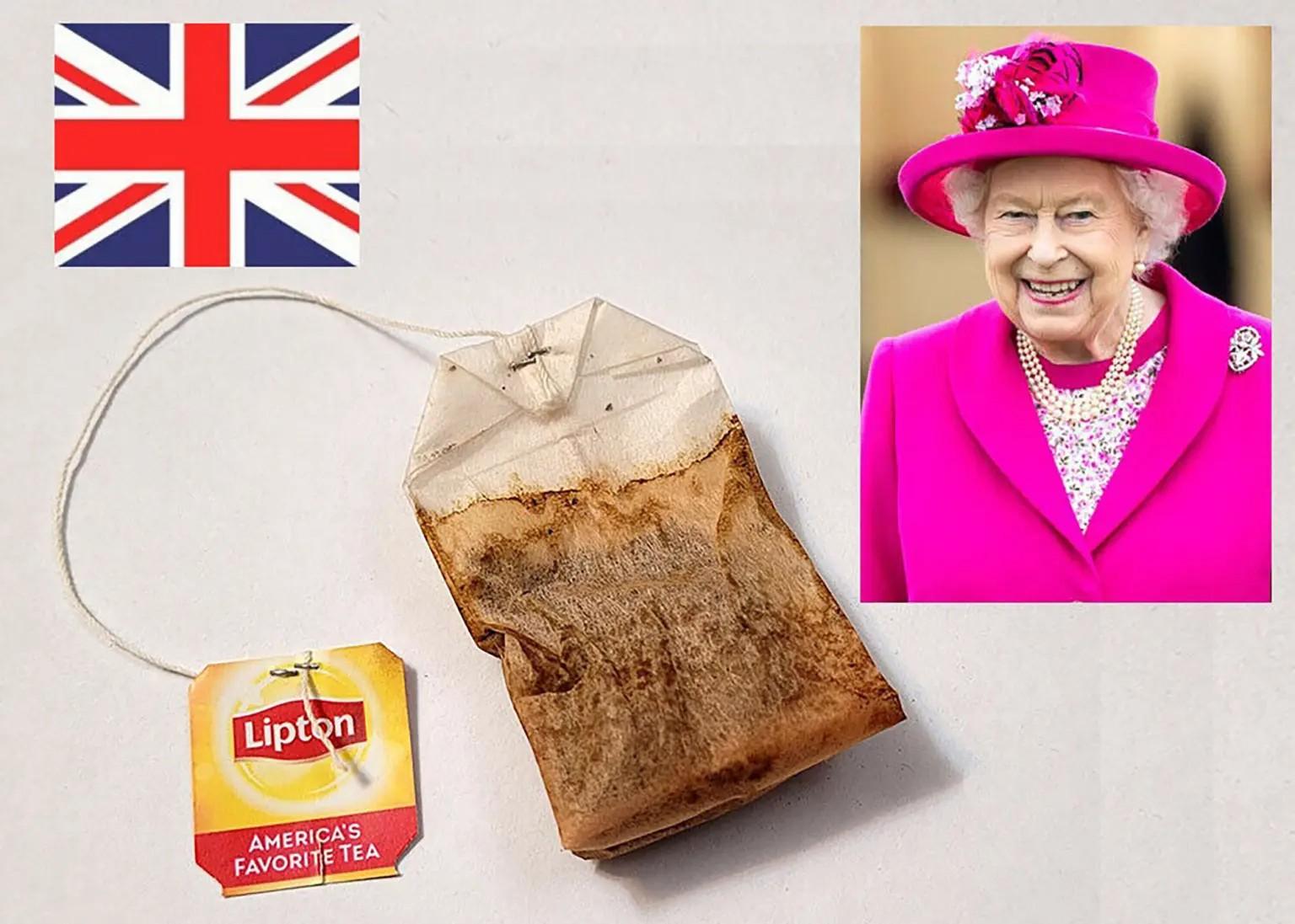 queen teabag  gallery