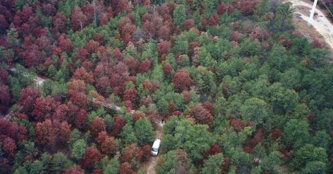 who is rex heuermann details on gilgo beach serial killer suspect