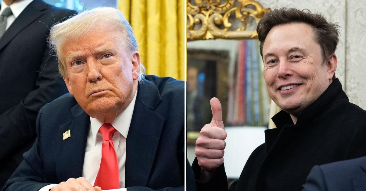 Split photo of Donald Trump, Elon Musk