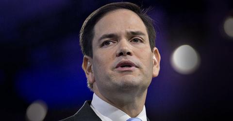 Marco Rubio Advisers Kill Campaign
