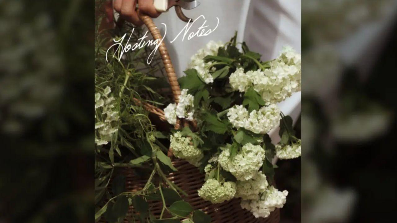 Photo of wilting flowers