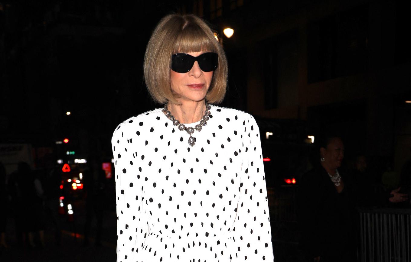 drake anna wintour