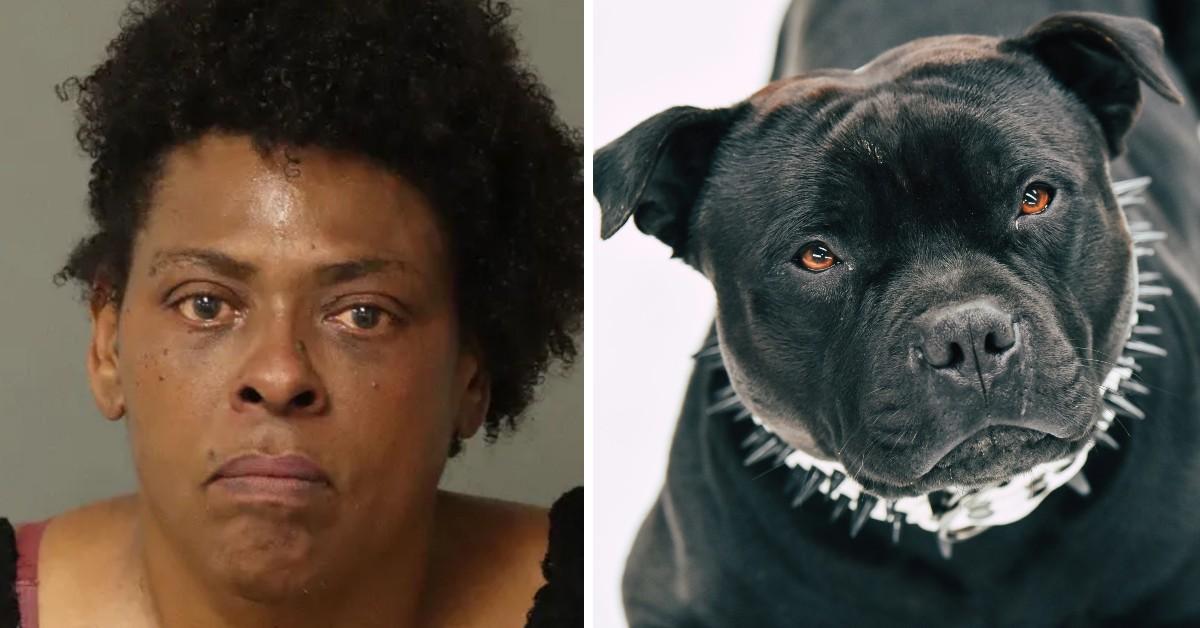 Photo of Sheila Marie Hunter, pit bull