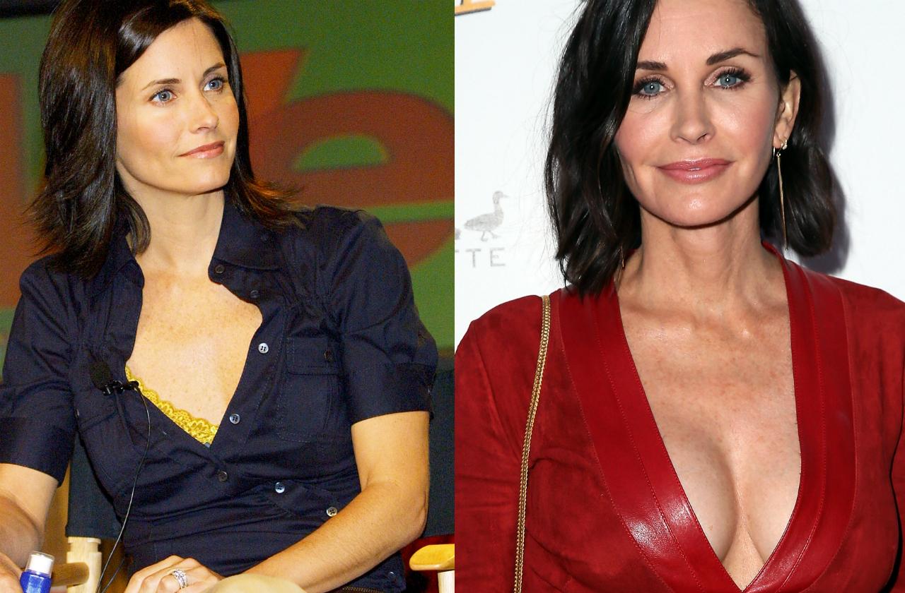 Celebrities With Fake Boobs? 32 Pics Of Rumored Boob Jobs
