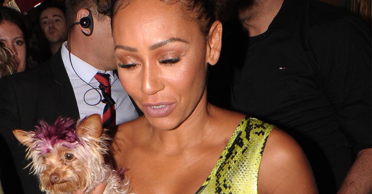 Mel B Calls Police To Ex Husband Stephen Belafonte S Home After Daughter Failed To Answer Phone