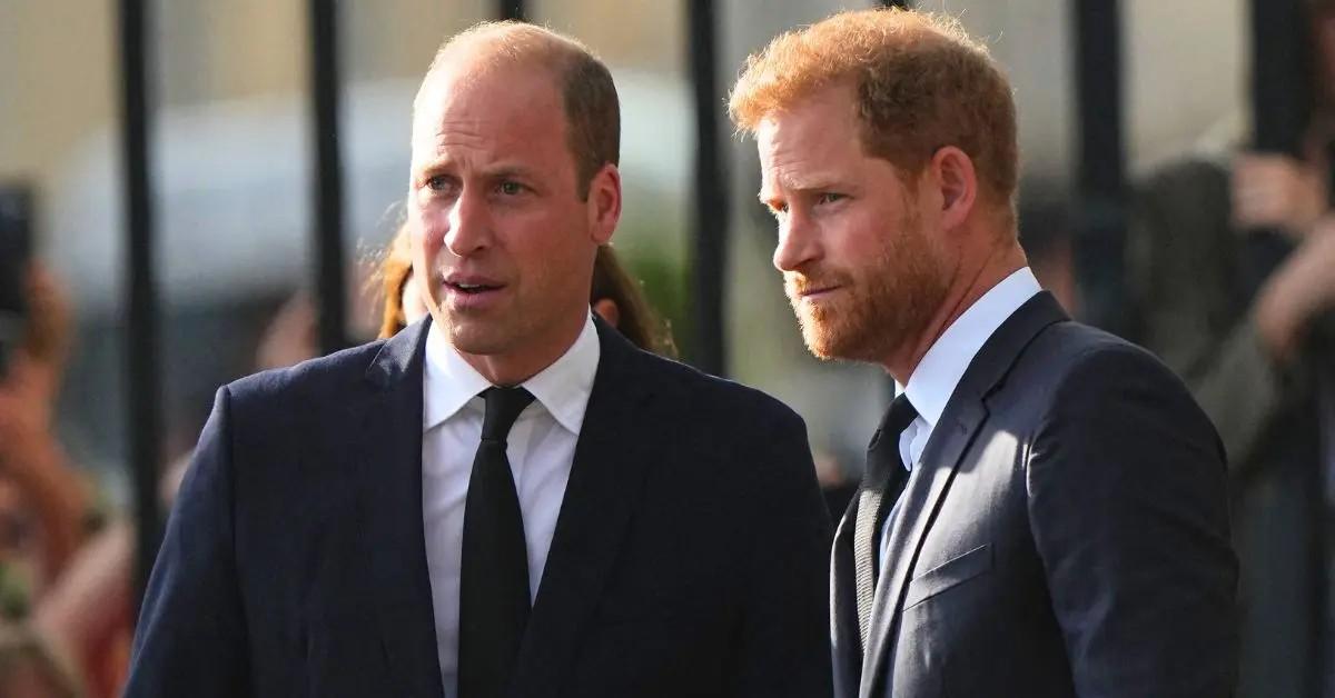 photo of prince harry and william