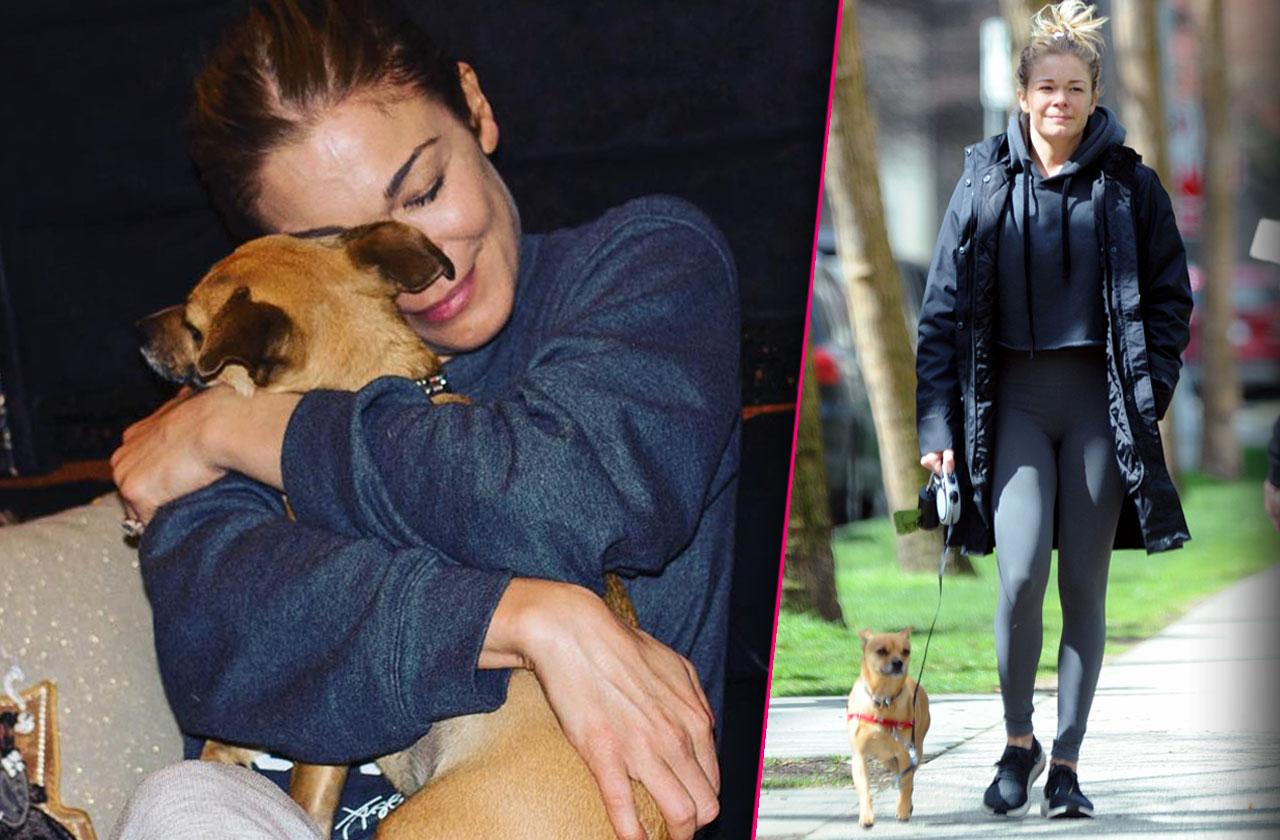 LeAnn Rimes Dog Killed By Coyote