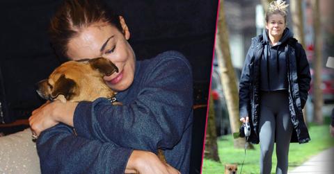 LeAnn Rimes Sees Dog Killed By Coyote