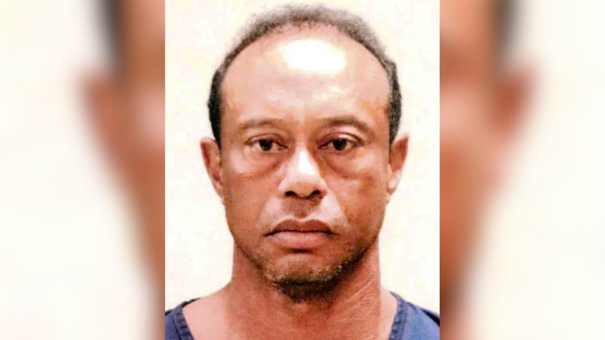 Tiger Woods Mugshot