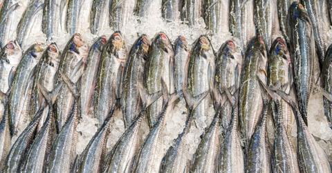 Man Allegedly Assaults Store Clerk With Frozen Fish: Cops