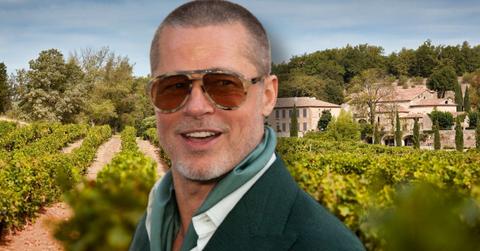 Photo of Brad Pitt and Château Miraval