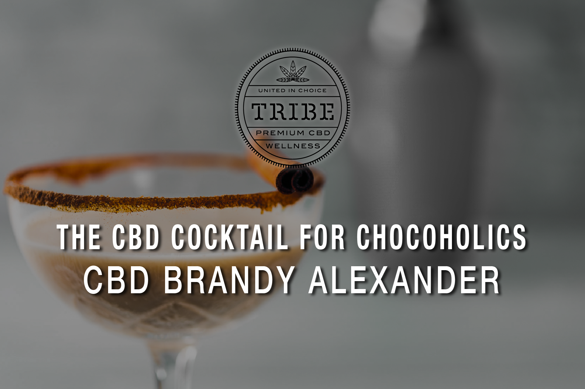 The CBD Cocktail For Chocoholics! – CBD Brandy Alexander