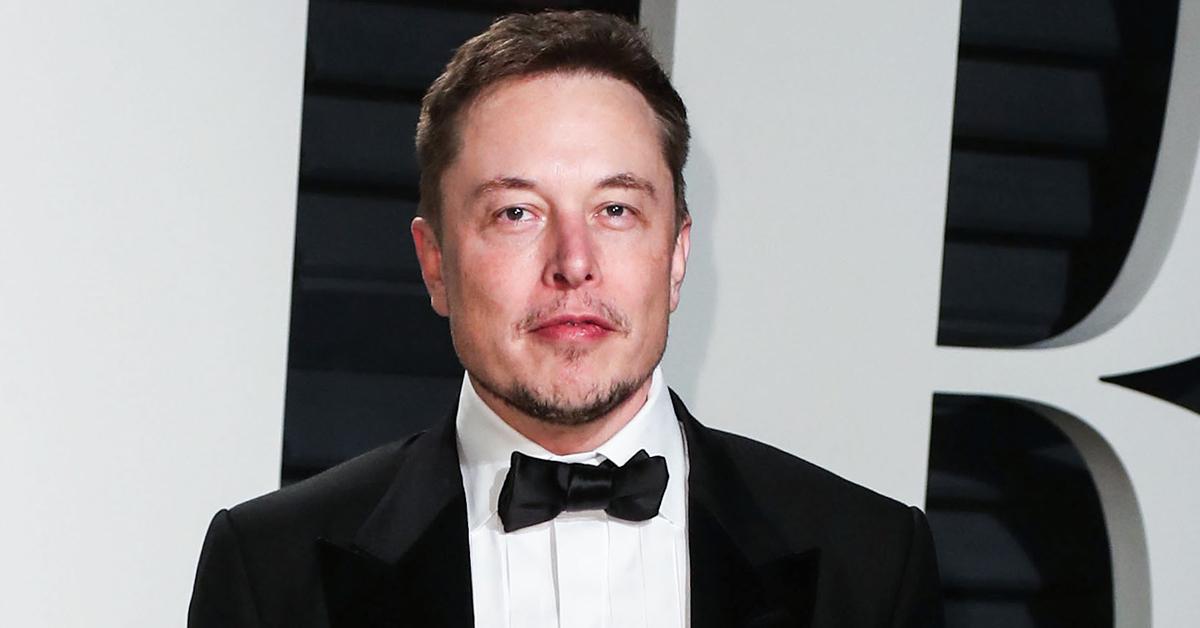 elon musk denies assault describe body part hit piece