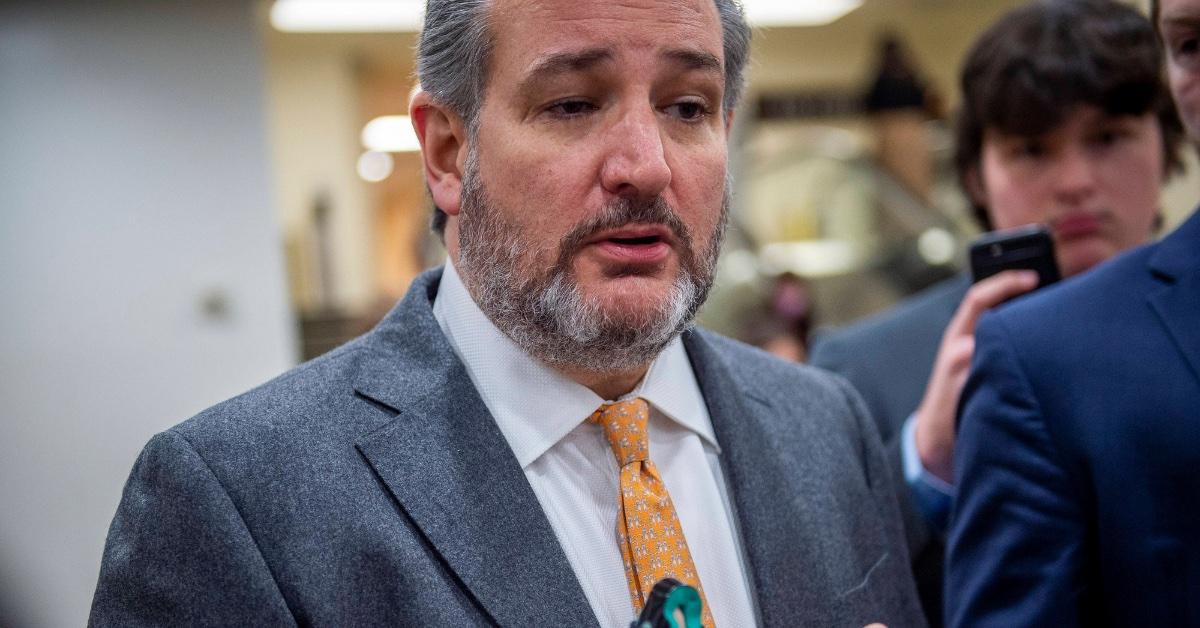 ted cruz loses it after being confronted gun reform texas school shooting