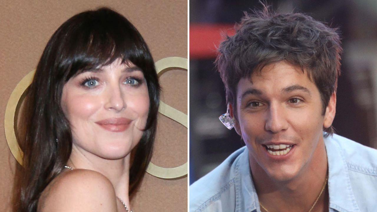 picture of Dakota Johnson and Role Model