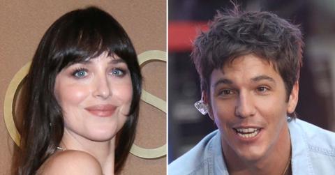picture of Dakota Johnson and Role Model