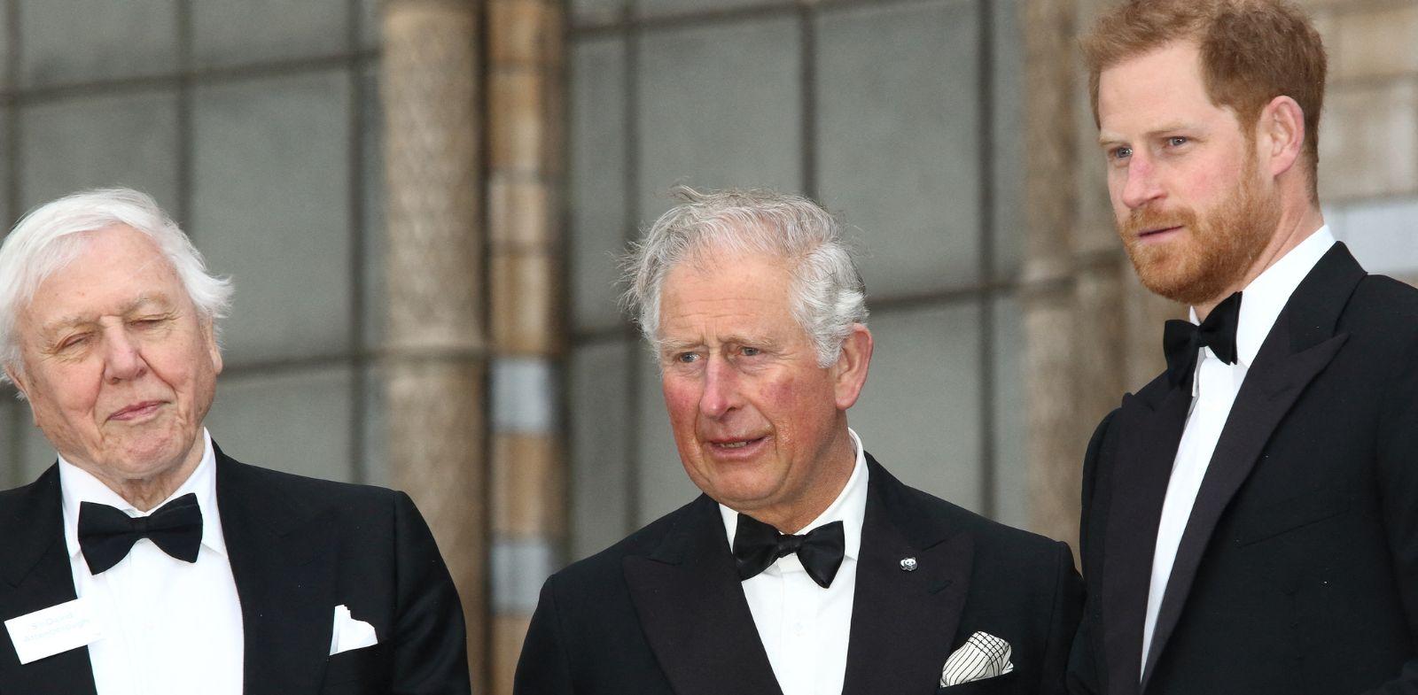 prince harry upset king charles attacking queen camilla spare