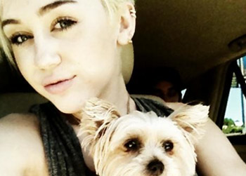 //miley cyrus tweet love