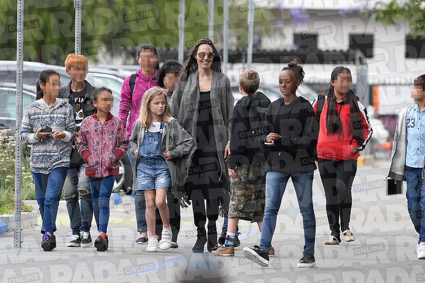 Angelina Jolie Divorce Kids Adopting