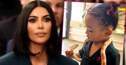Fans Slam Kim Kardashian Over Video Of Chicago Playing With Snake