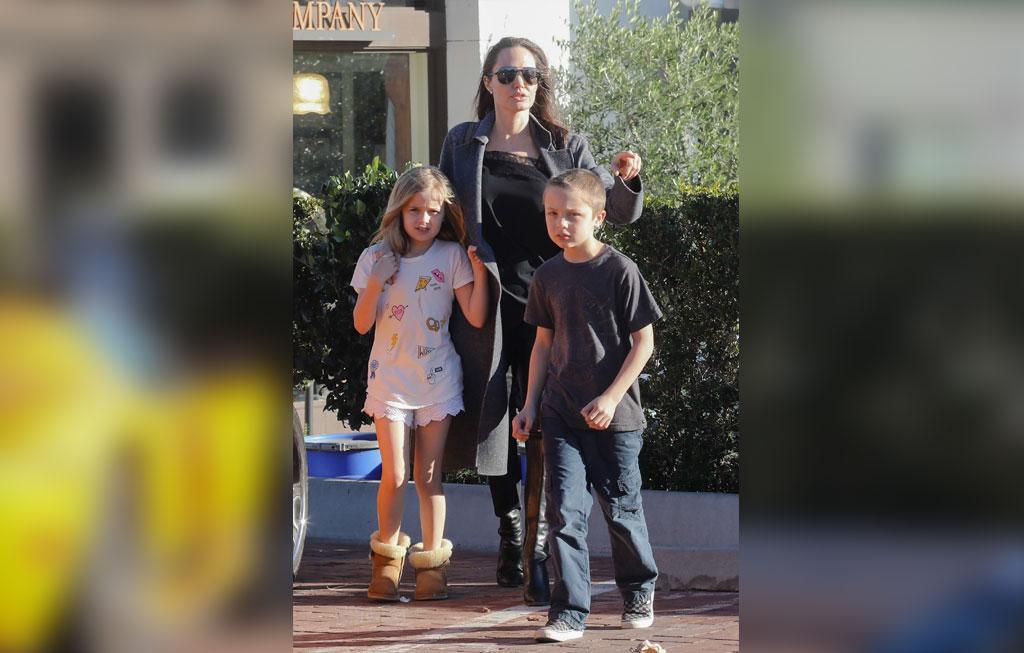 Brad Pitt Angelina Jolie Divorce Custody Battle Kids Twins Malibu Pics