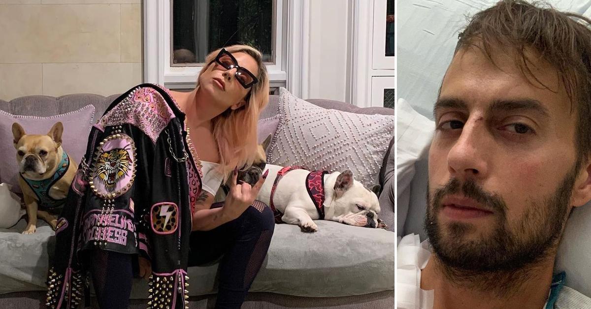 lady gaga dog walker shot leaves los angeles new york ryan fischer