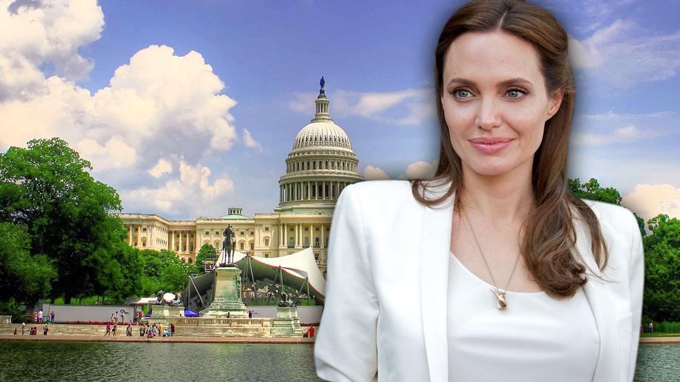 //angelina jolie career in politics