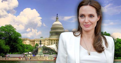 //angelina jolie career in politics