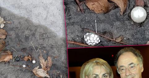 //evidence hitmen ambushed canadian billionaire wife before death pp